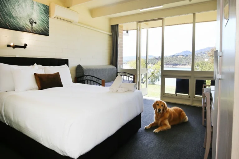 pet-friendly